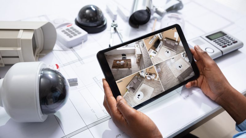 Professional security team